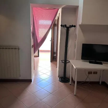 Dante 11 Flat Crémone