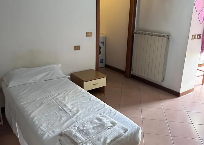 Dante 11 Flat * クレモナ